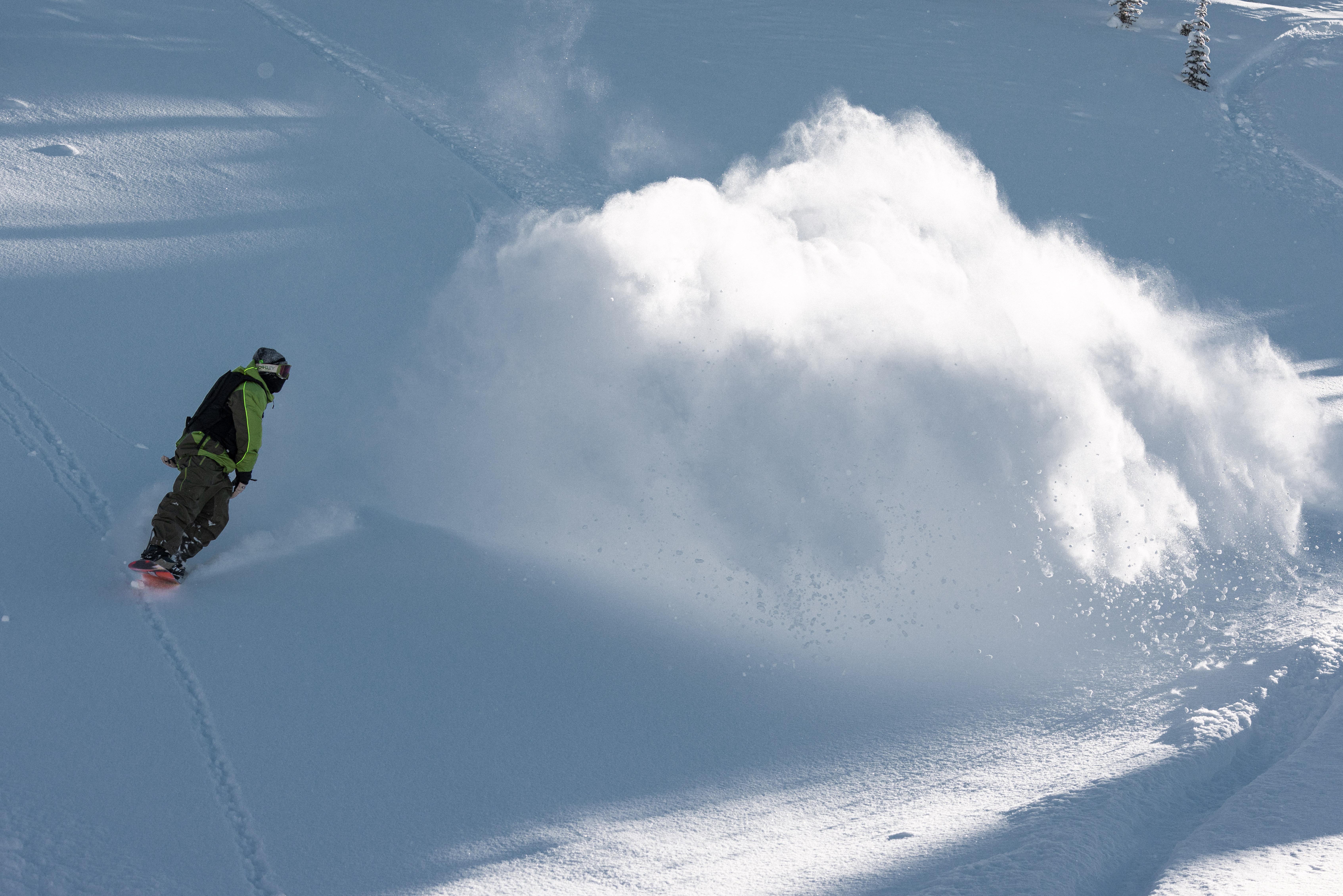 BOA at Natural Selection