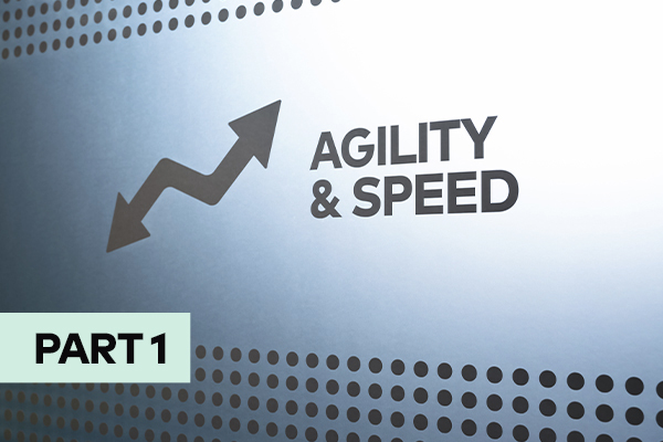 Performance Fit Lab Testing Agility and Speed