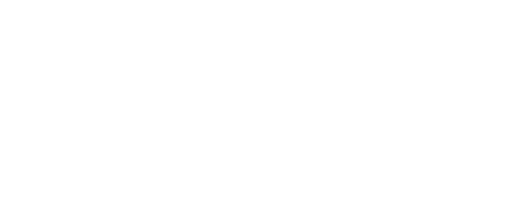 BOA FS2 Dial System