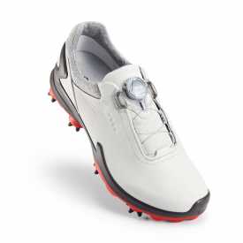 ECCO BIOM G 3 Boa GTX Golf Shoe